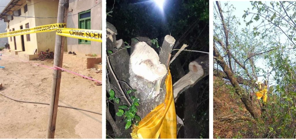 बोधिचित्तको रुख काटेको आरोपमा चारजना पक्राउ