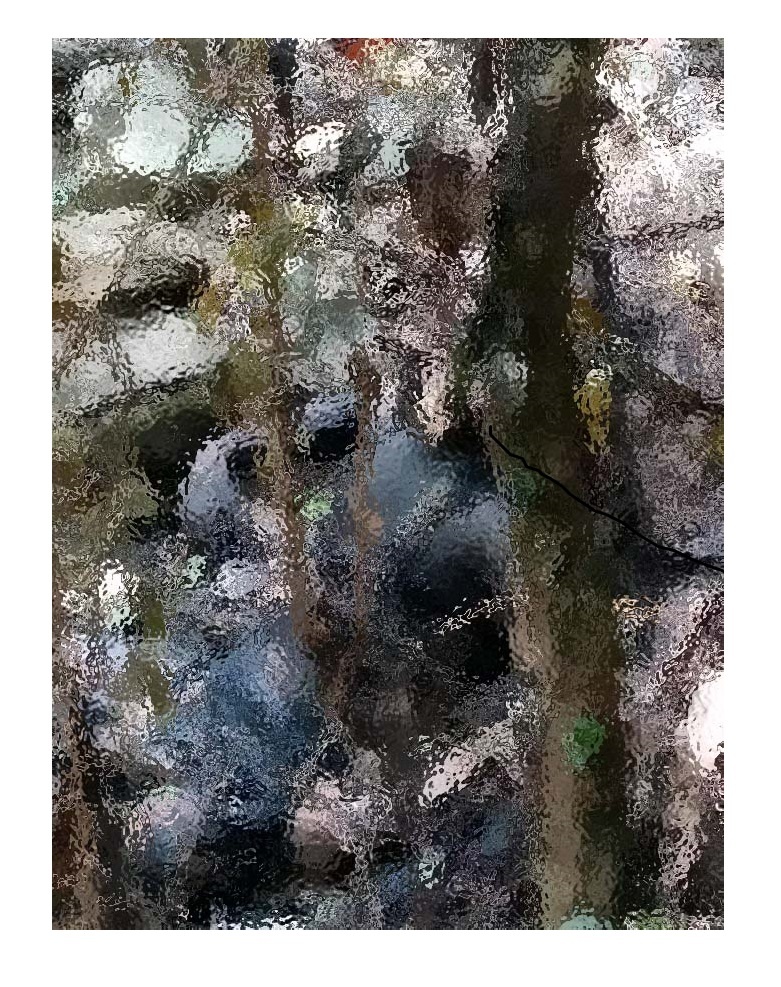 काभ्रेको जिराेकिलाेमा रुखमा सिक्रीले बाँधेर जलाएको अवस्थामा शव भेटियो