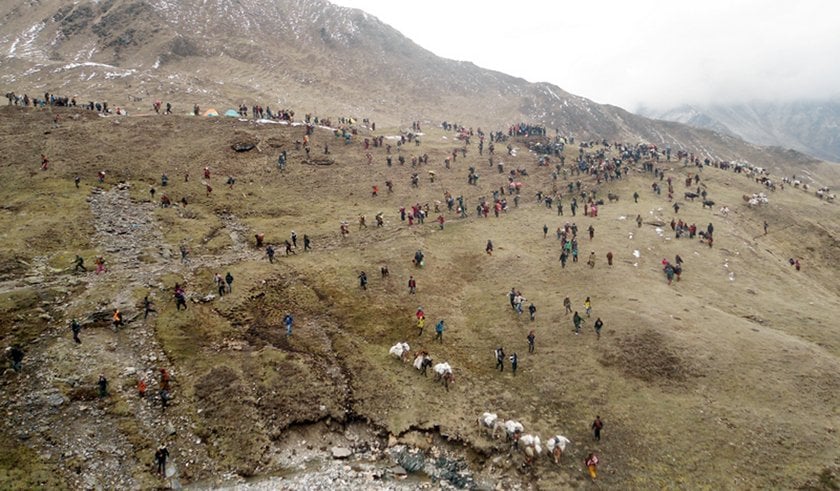 मुगुका पाटन क्षेत्र जेठ १५ बाट यार्सागुम्बा सङ्कलनका लागि खुला गरिने