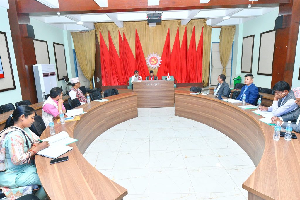 प्रधानमन्त्रीको विपक्षमा मतदान गर्न एमालेले जारी गर्याे ह्वीप