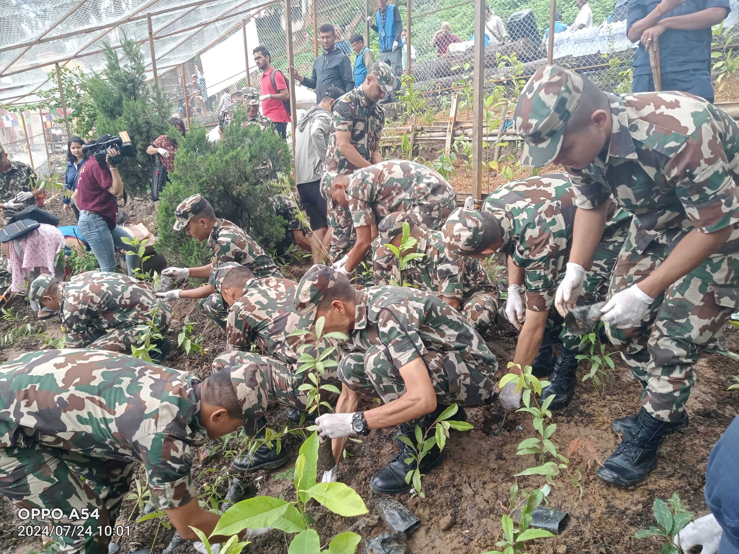 विश्व सम्पदास्थल स्वयम्भूमा स्वयम्भू संरक्षण महासमितिद्वारा वृक्षारोपण