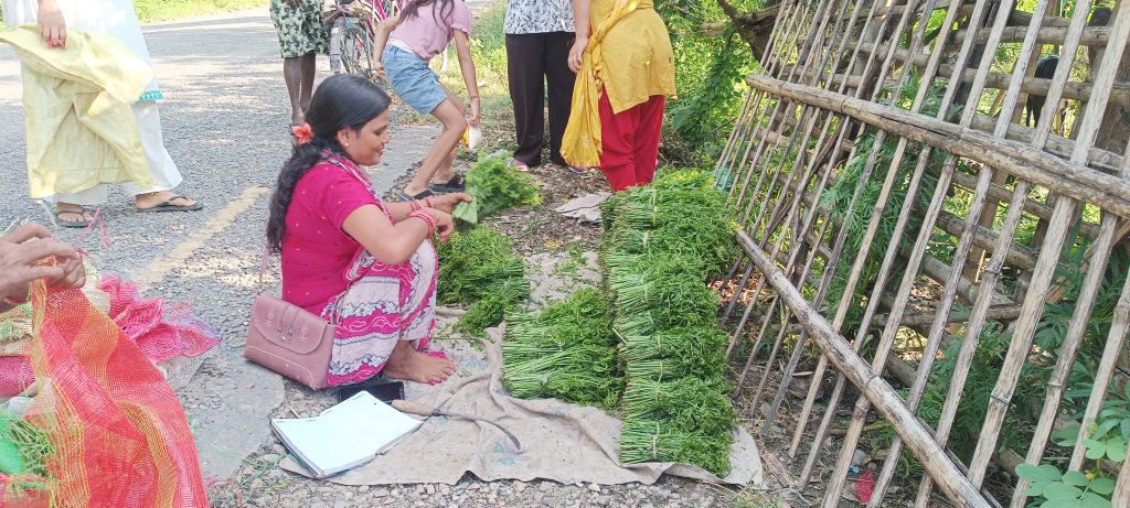 निगुरो व्यापार: शुन्य लगानीमा लोभलाग्दो आम्दानी