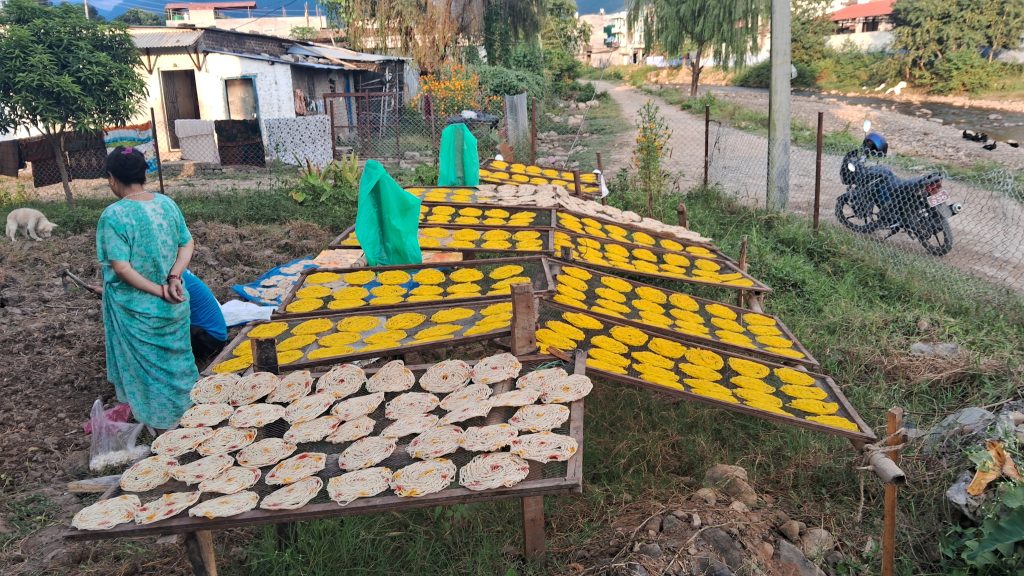 आम्दानीको स्रोत बन्दै सिन्कामारी