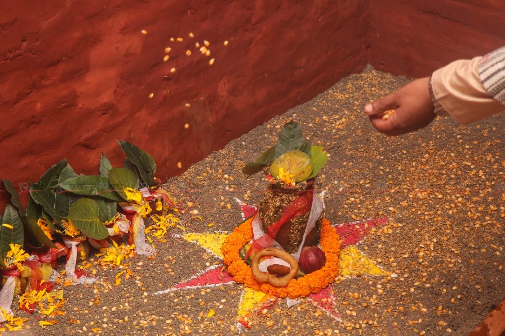 आज घटस्थापना, घरघरमा जमरा राखेर मनाइदैं