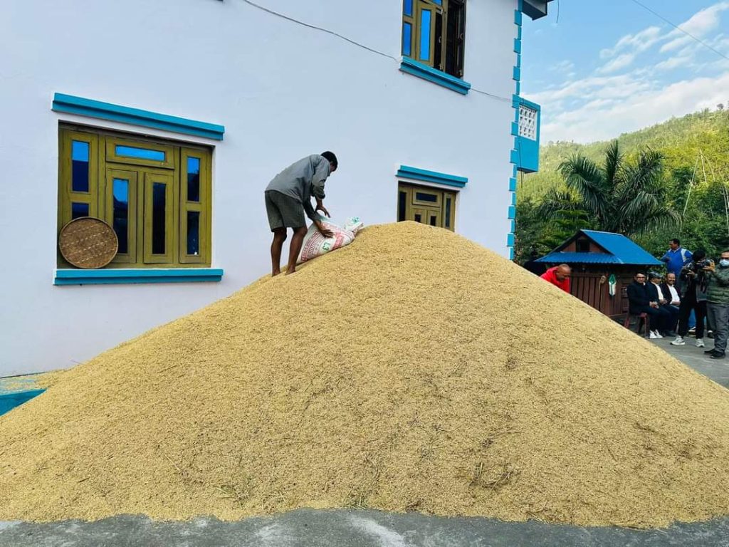 गुल्मीका किसान मेघनाथले फलाए चार सय मुरी धान