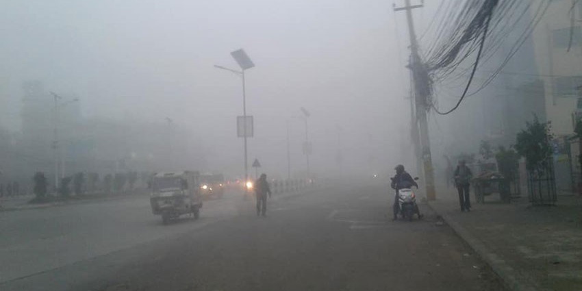 चिसोका कारण बिरामीको सङ्ख्यामा वृद्धि, सावधानी अपनाउन सर्वसाधारणमा आग्रह