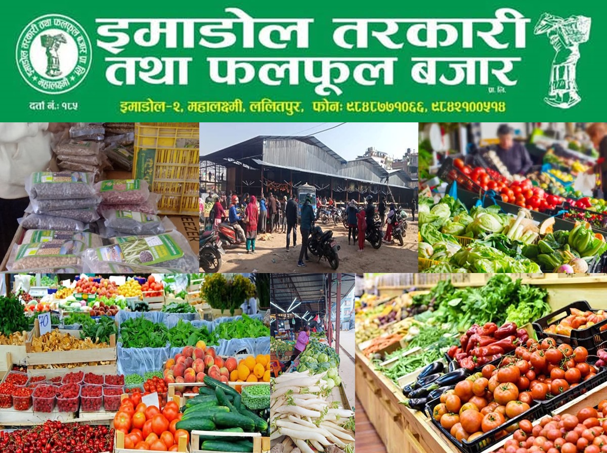 किसानकाे तरकारी किसानकै बजारकाे अवधारणा ल्याउँदै ईमाडाेल तरकारी तथा फलफूल बजार