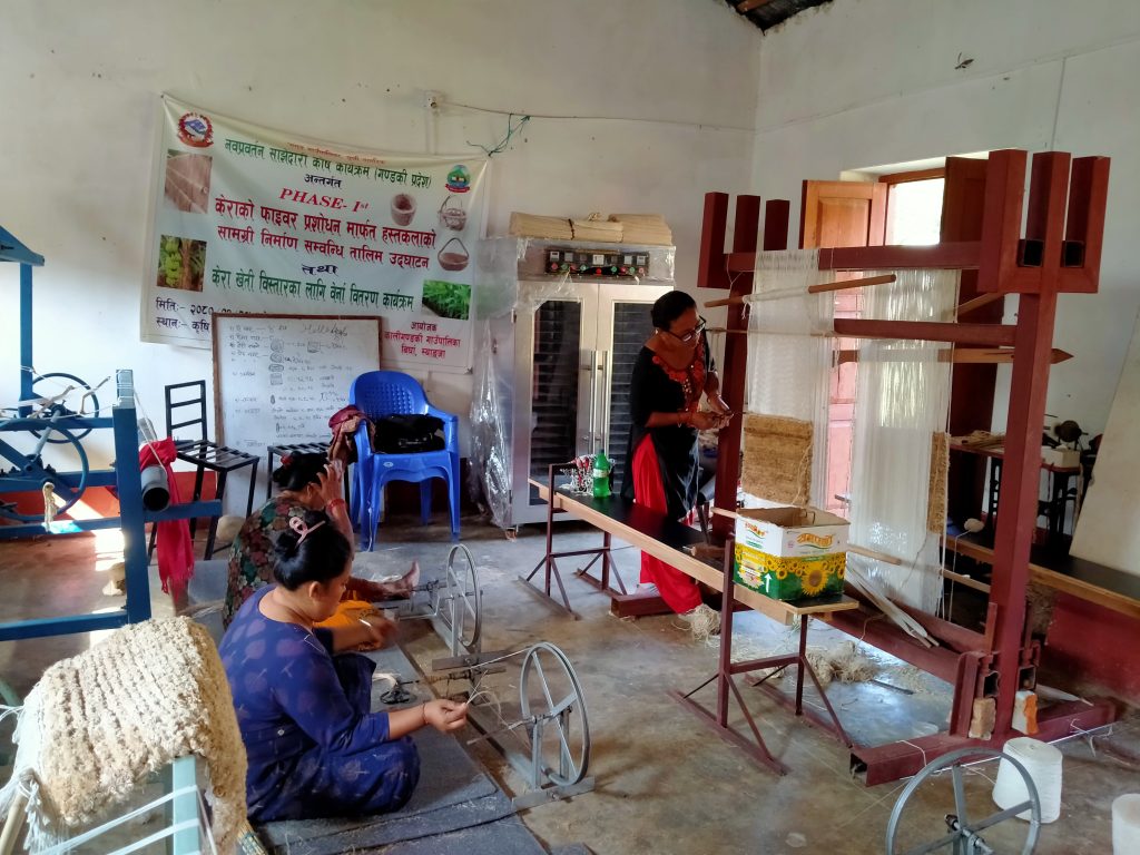 केराको ‘फाइबर’बाट हस्तकलाका सामग्री बनाउँदै कालीगण्डकी