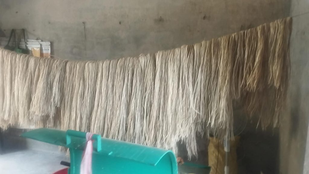 कैलालीमा केराको रेशाबाट बनेका सामग्रीको माग बढ्यो