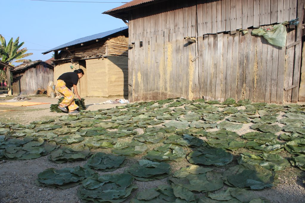 दुनाटपरी गाँसेर जीविकोपार्जनको उपाय खोज्दै महिला