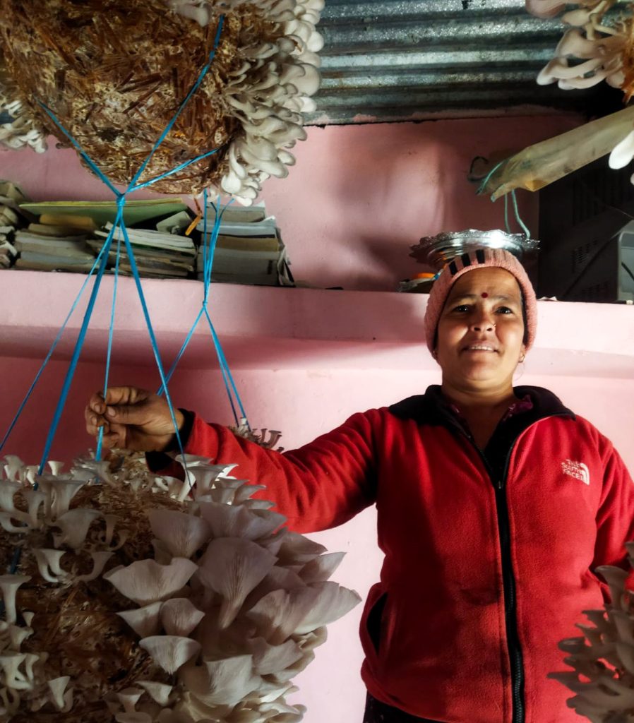 तालिमपछि बन्दीपुरका महिला च्याउखेतीतर्फ आकर्षित