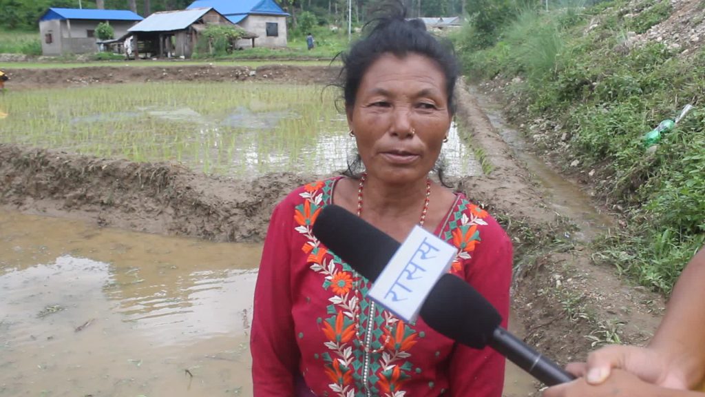 फिरन्ते जीवनबाट उद्यमी बन्दै वनकरिया समुदाय