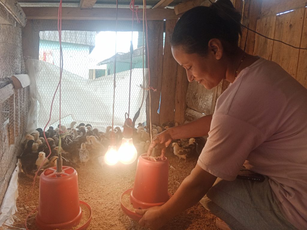 सूर्योदय नगरपालिकाको अनुदान: विदेशबाट फर्केका युवालाई गाउँमै उद्यममा प्रोत्साहन