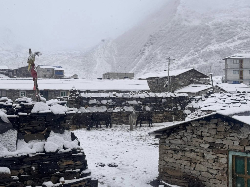 उत्तरी गोरखाको साम्दो क्षेत्रमा भारी हिमपात, जनजीवन प्रभावित