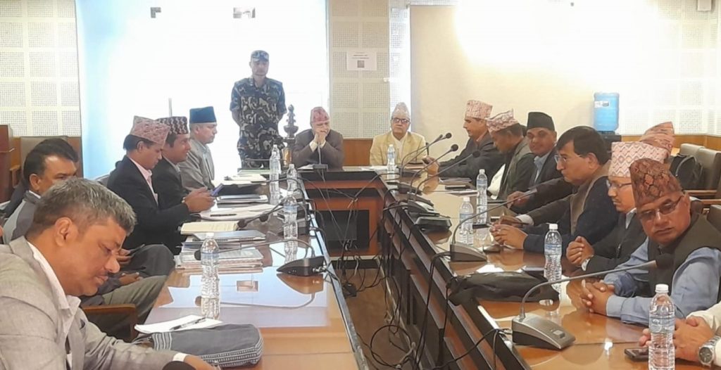 शिक्षक महासङ्घसँगको वार्ता सकारात्मक : शिक्षामन्त्री पन्त