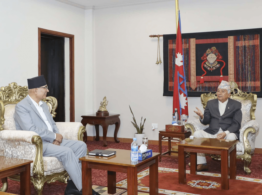 अर्थमन्त्रीद्वारा राष्ट्रपति पौडेललाई बजेटबारे ब्रिफिङ