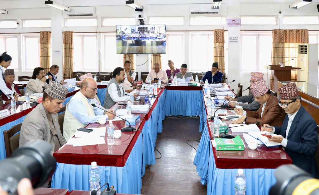 यस्ता छन् सार्वजनिक लेखा समितिका निर्णय, किसानलाई रासायनिक मल अभाव हुन नदिन निर्देशन