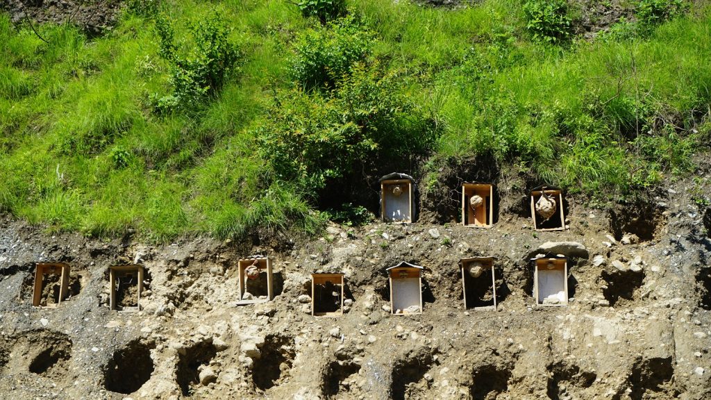 म्याग्दीमा व्यावसायिक अरिङ्गालपालन