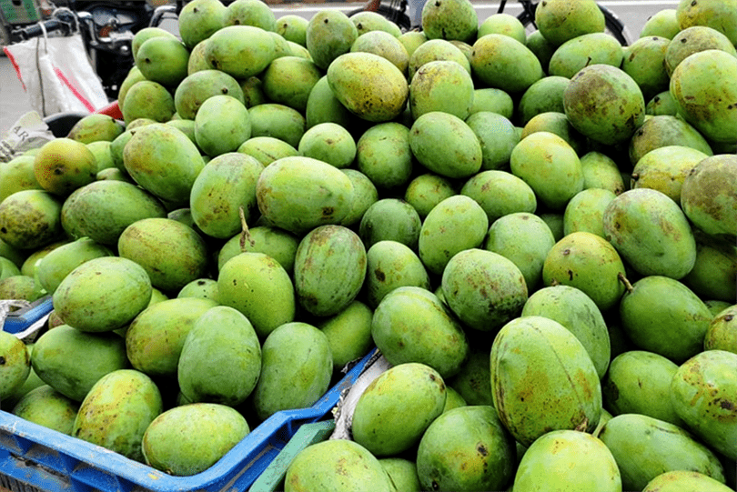 सिरहामा यसवर्ष आँप उत्पादनमा भारी गिरावट, किसान निराश