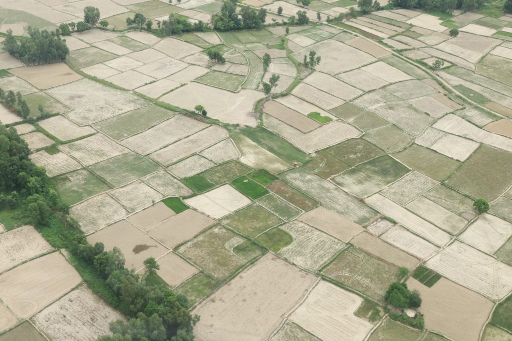 पर्सामा खडेरीसँग जुध्न सरकारकाे १४-बुँदे ‘एक्सन प्लान’, चुहावट रोक्नदेखि नहर मर्मतसम्मको योजना