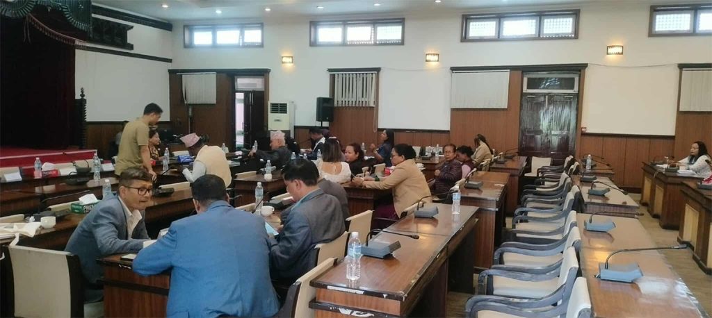 भूमिसम्बन्धी विधेयक बहुमतले पारित