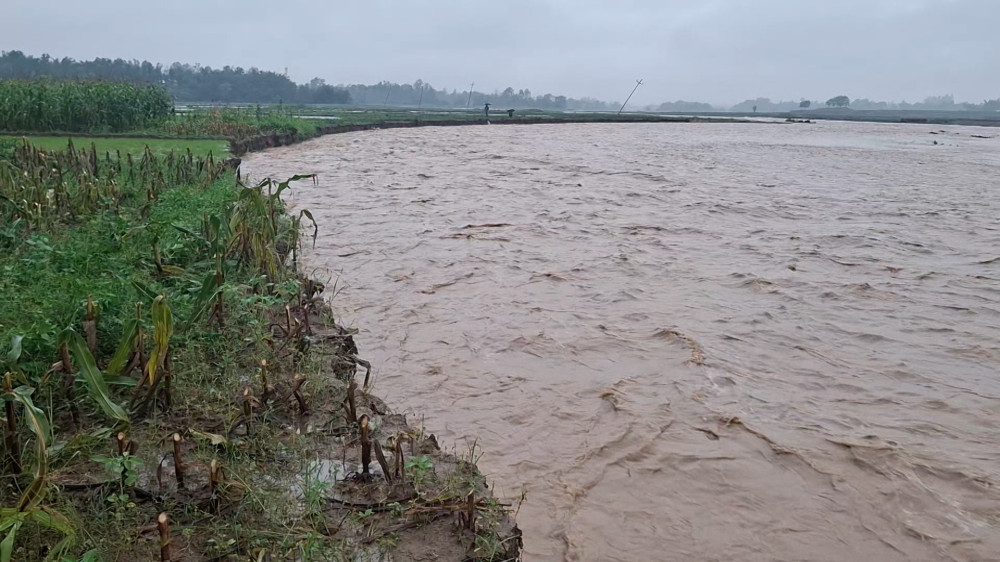 बबई नदीले खतराको तह पार गर्‍यो, बर्दिया र दाङमा बाढीको उच्च जोखिम