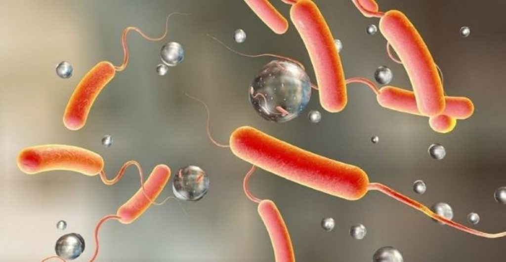 वीरगञ्जमा ९३ जनामा देखियो हैजा