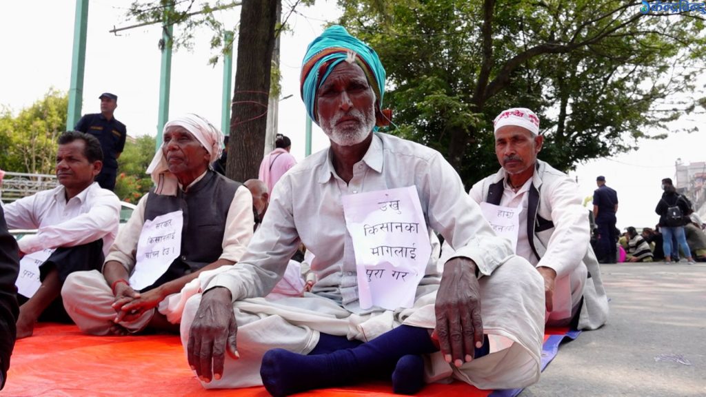 सरकारकाे अनुदान उखु किसानको बैंक खातामा, किसानभने आन्दोलनमा
