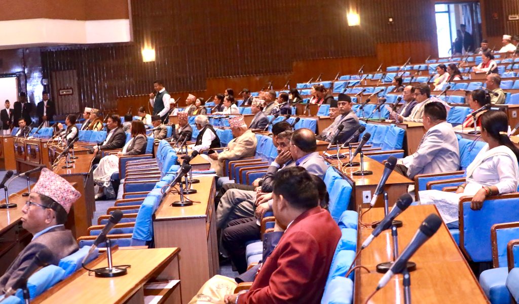 बालबालिकासम्बन्धी विधेयक दफावार छलफलका लागि समितिमा पठाइयो