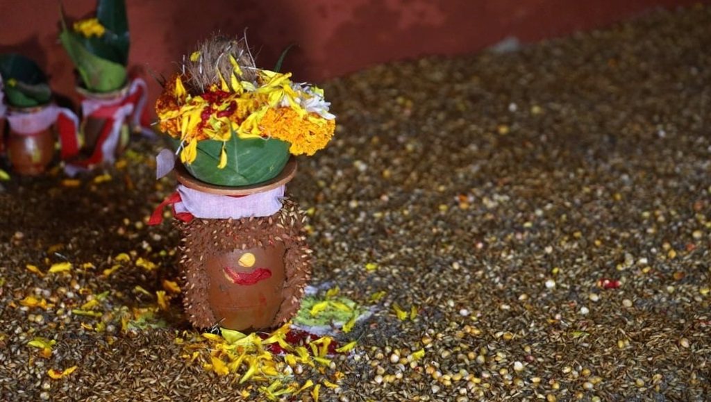 आज घटस्थापना, घरघरमा जमरा राखेर मनाइदै
