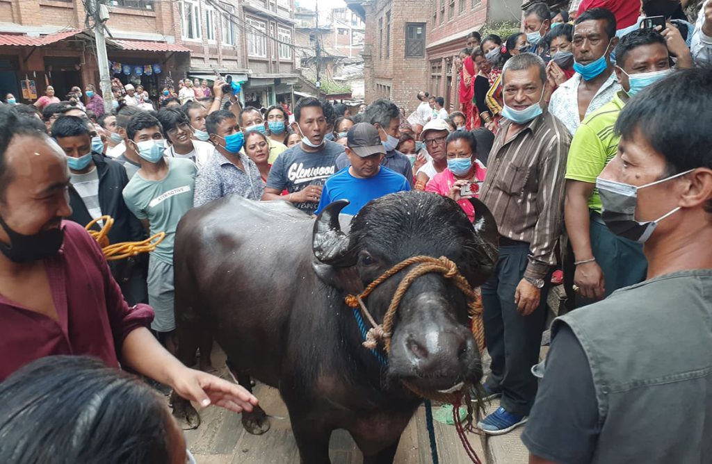 भक्तपुरमा आज खःमेय् जात्रा मनाइँदै