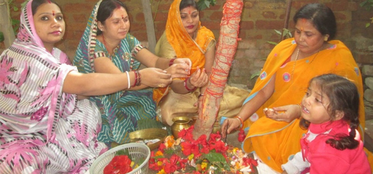 मिथिलामा आज कुष्माण्ड नवमी पर्व मनाइँदै: अमलाको फेदमा सामूहिक भोजनको परम्परा