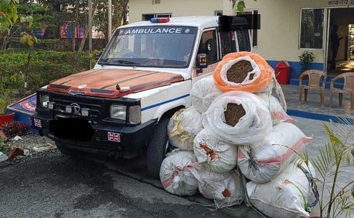 सर्लाहीको हरिवनबाट एम्बुलेन्ससहित ५१ किलो गाँजा बरामद, चालक पक्राउ