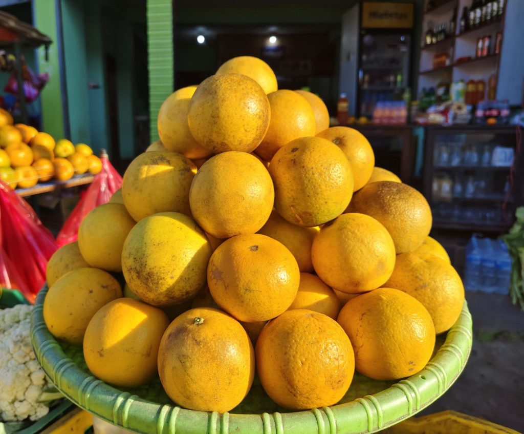 चितवनको इच्छाकामनामा ‘सुन्तला महोत्सव’ हुने: पुस ११ देखि १५ सम्म चल्ने