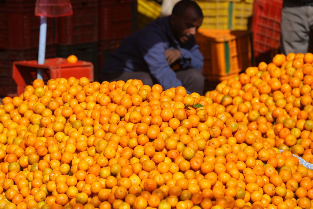 आन्तरिक पर्यटन र स्थानीय उत्पादन प्रवर्धन गर्न मुग्लिनमा आजदेखि ‘सुन्तला महोत्सव’ 