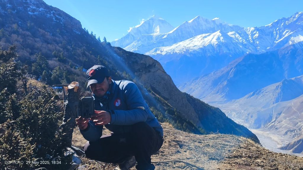 मुस्ताङमा हिउँ चितुवा अध्ययन गर्न ‘क्यामेरा ट्र्यापिङ’ गरिँदै