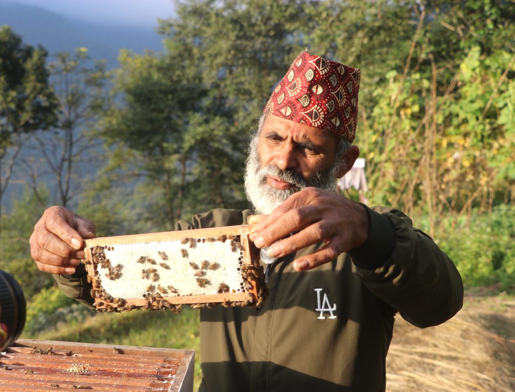 व्यावसायिक मौरीपालनबाट कास्कीका किसान आत्मनिर्भर : गाउँमै वार्षिक ६० लाख रुपियाँको कारोबार