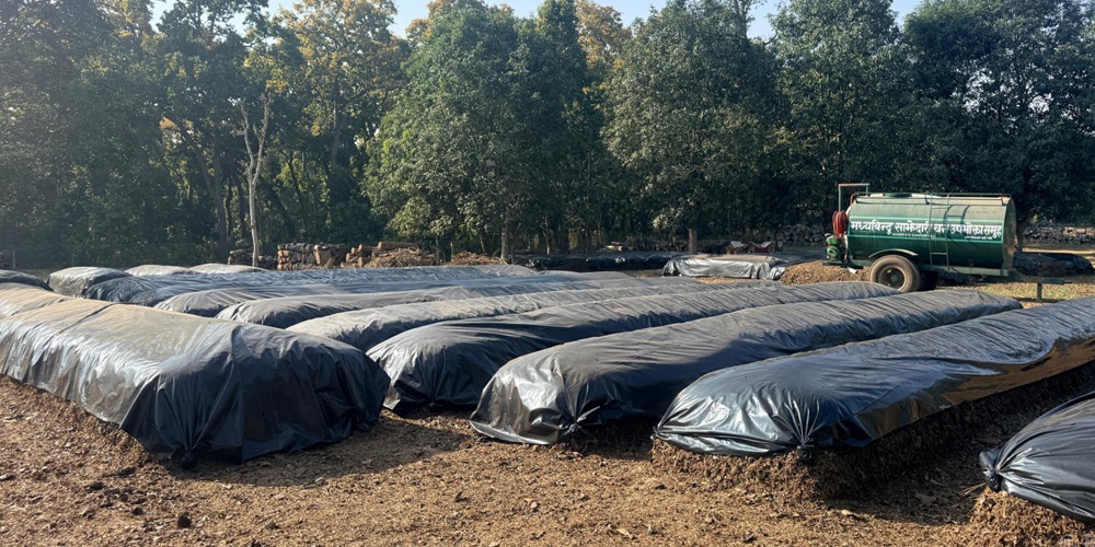 नवलपुरको मध्यविन्दु साझेदारी वनद्वारा जैविक मल उत्पादन सुरु : डढेलो नियन्त्रण र कृषिलाई दोहोरो लाभ