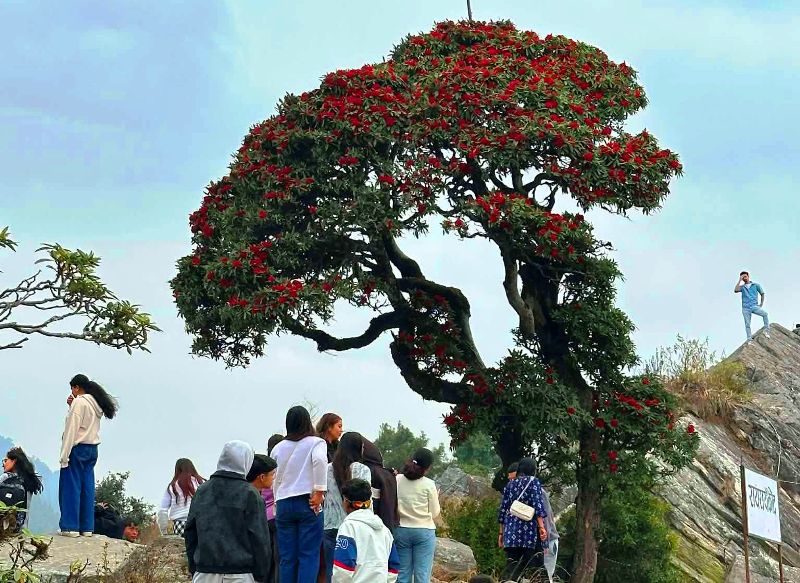 गुराँस र पूर्वाधार विकासले पर्यटकीय आकर्षणको केन्द्र बन्दै बागलुङको रायराँयकोट