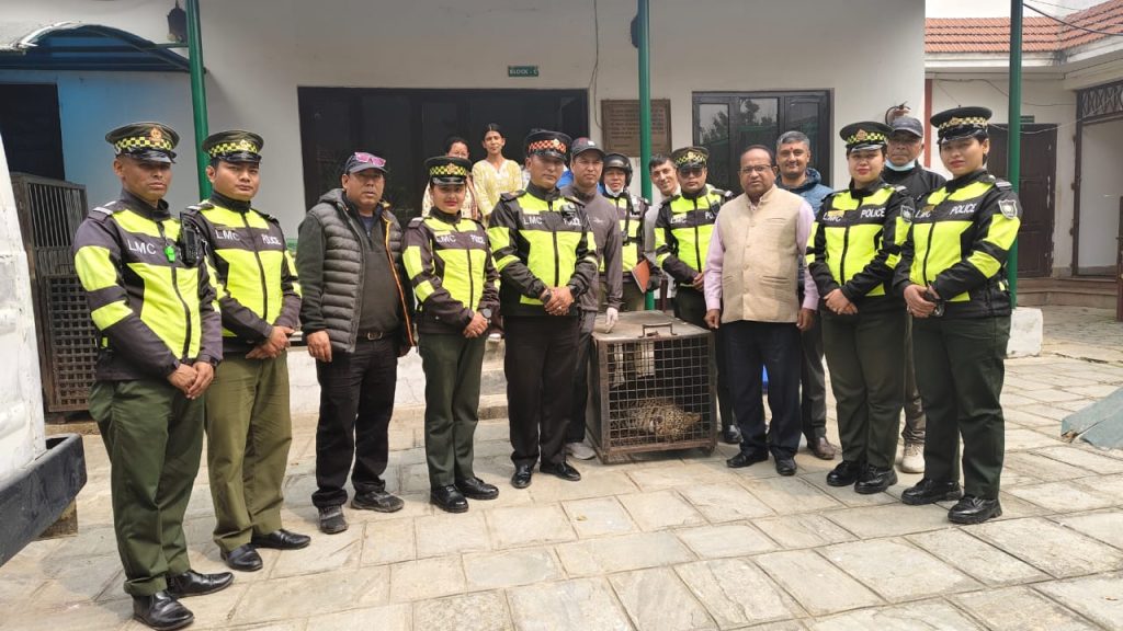 कुसुन्तीस्थित विद्यालयभित्र पसेको चितुवाको सकुशल उद्धार