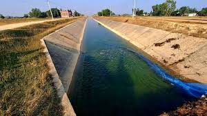 सिक्टा सिँचाइको विस्तारसँगै बाँकेमा बाली सघनता बढ्यो : २४ हजार हेक्टरमा सिँचाइ सुविधा पुग्दा किसान हर्षित