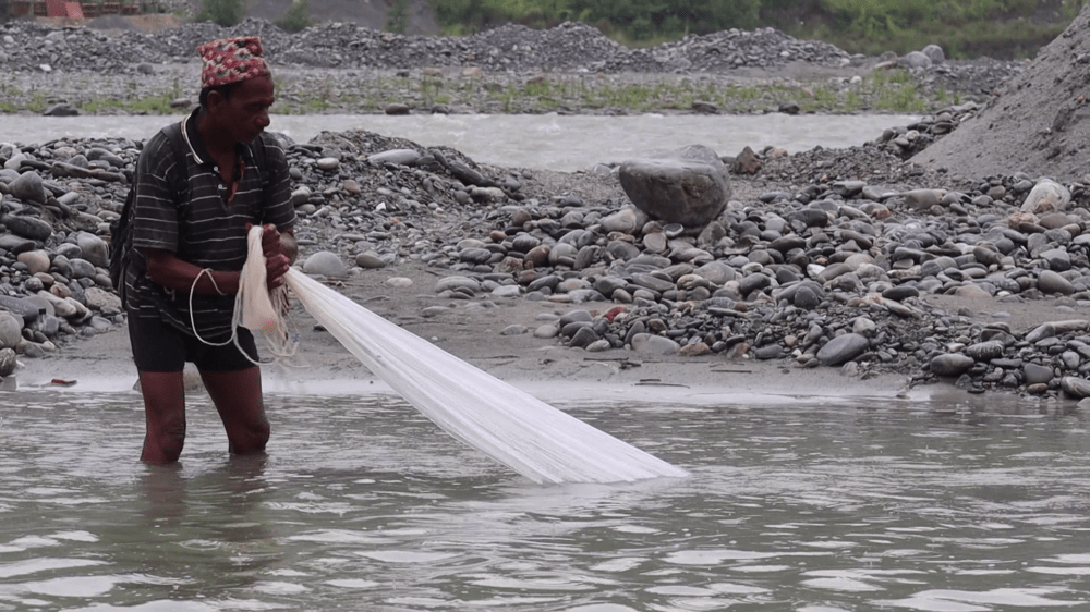 नदीमा माछा पाइन छाडेपछि माझीहरूकाे पुर्ख्यौली पेसा सङ्कटमा