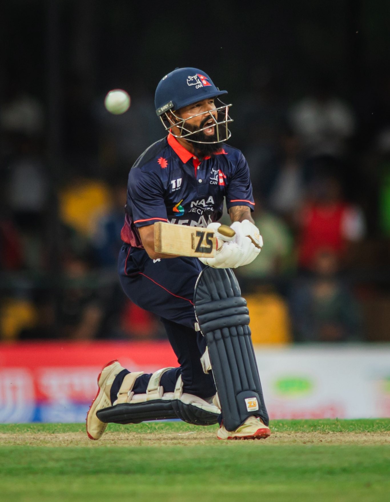 पहिलो टि२० मा युएइसँग नेपाल पराजित