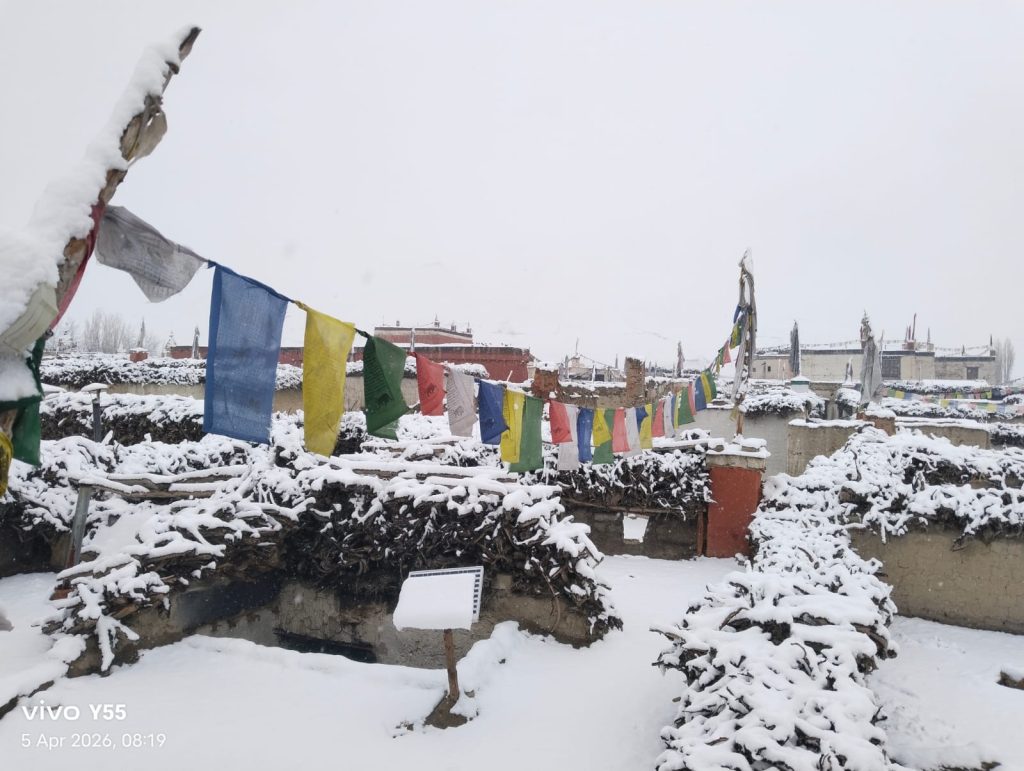 माथिल्लो मुस्ताङ र मुक्तिनाथ क्षेत्रमा भारी हिमपात, जनजीवन प्रभावित तर बर्खे बालीलाई फाइदा