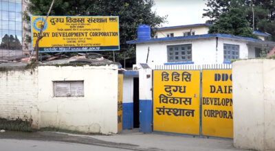 दुग्ध विकास संस्थानका महत्त्वपूर्ण कागजात सिआइबीको नियन्त्रणमा