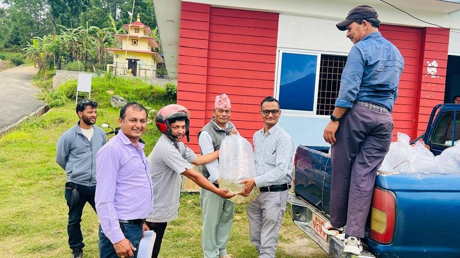 पर्वतका ५७ व्यावसायिक किसानलाई सवा लाख माछाका भुरा निःशुल्क वितरण