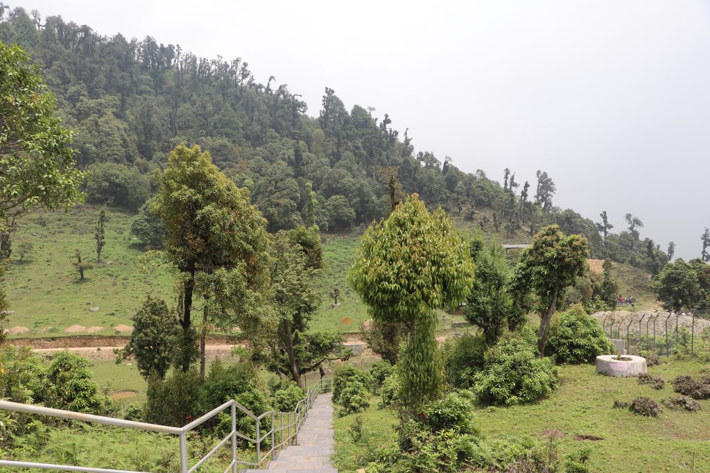 सोलेडाँडामा ‘जडीबुटी पार्क’