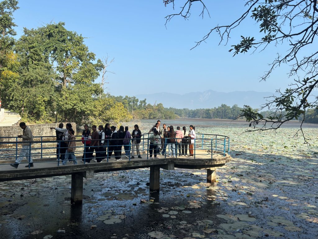 सङ्कटमा घोडाघोडी सिमसारः अव्यवस्थित संरचना र मिचाहा झारले मासिँदै जैविक विविधता