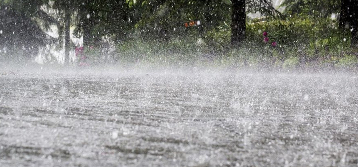 मनसुन थप सक्रिय हुँदै, आगामी हप्ता धेरै ठाउँमा वर्षा हुने