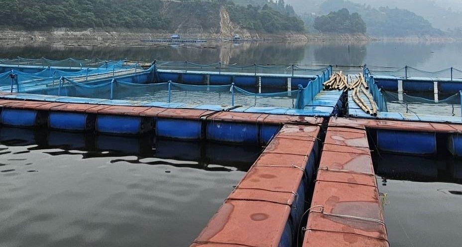 विश्वव्यापी अवैध मत्स्य दोहनविरुद्ध अभियान : समुद्री सम्पदा जोगाउने चुनौती र अवसर